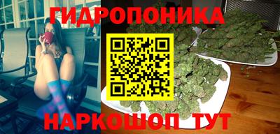 прущая мука Ачхой-Мартан