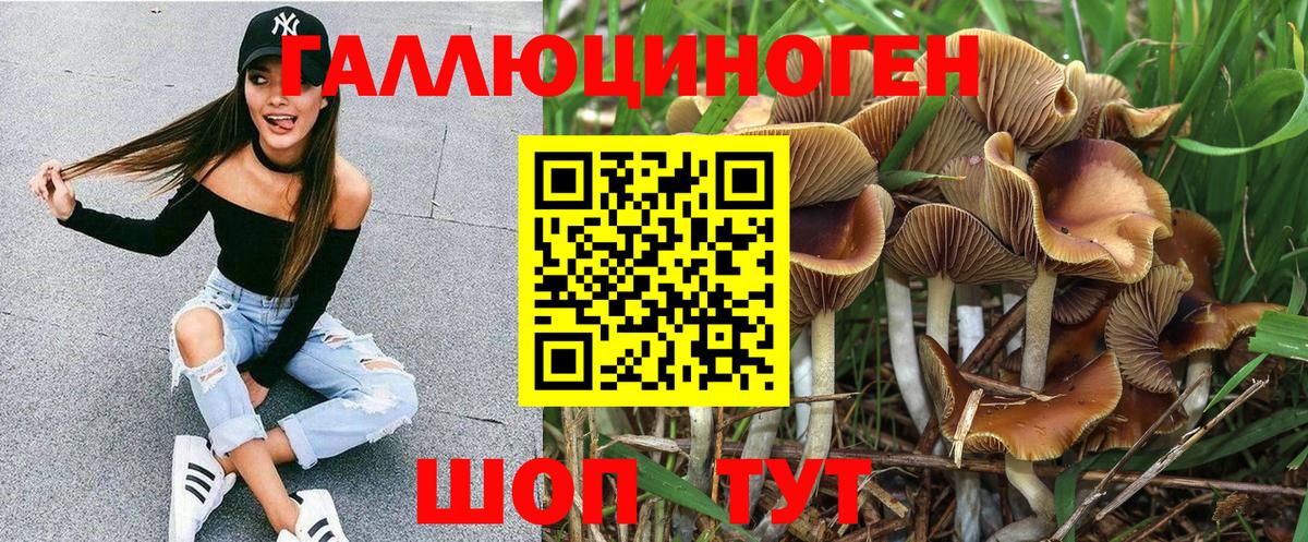 Псилоцибиновые грибы Psilocybine cubensis  Вход с VPN  Галлюциногенные грибы мицелий  Печора 